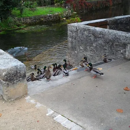 Maison Sur Le Lot Oda ve Kahvaltı 4*